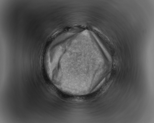 X0000086770656200705111736