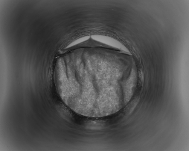 X0000086770657200705111736