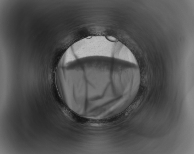 X0000086770658200705111736
