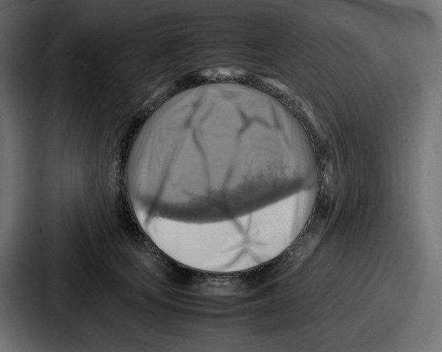 X0000086770659200705111736