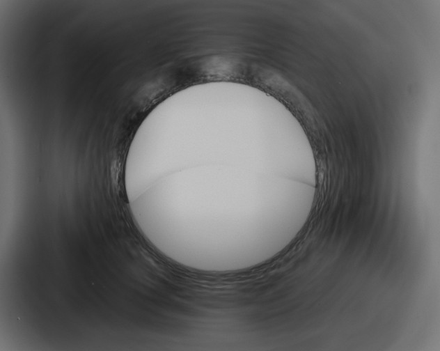 X0000086770660200705111736