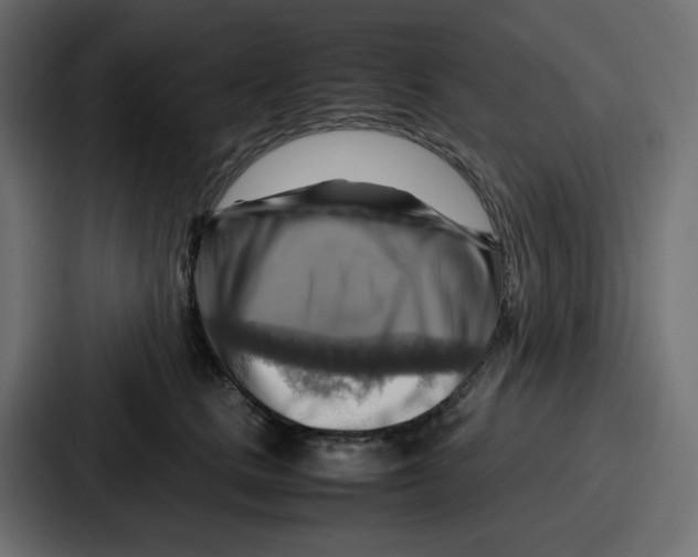 X0000086770661200705111736