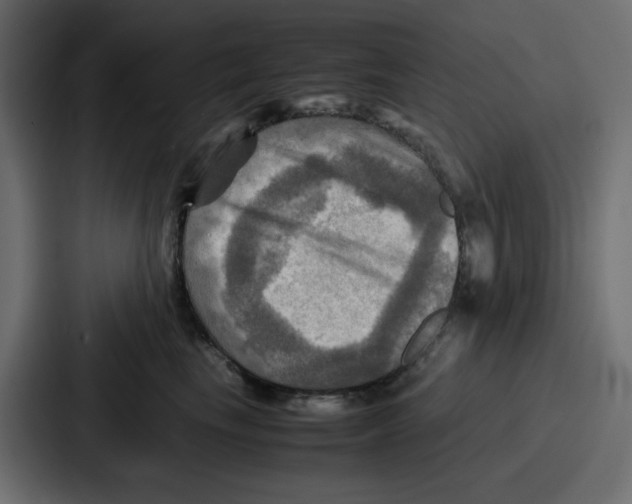X0000086770665200705111736