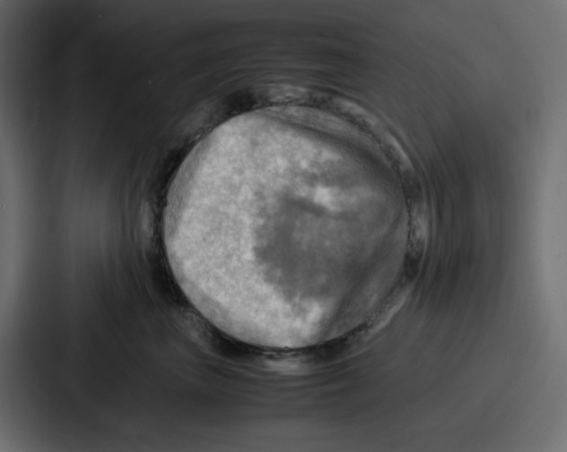 X0000086770667200705111736