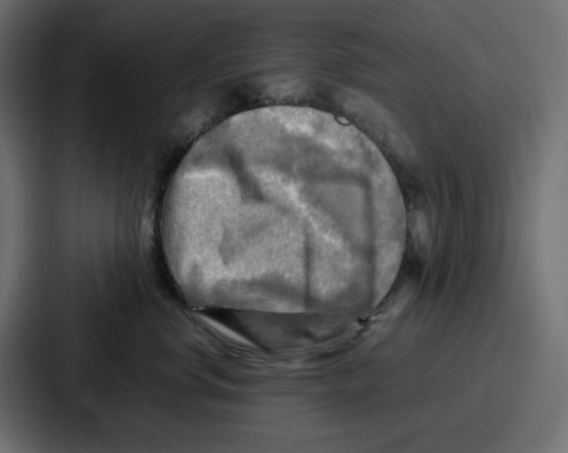 X0000086770668200705111736