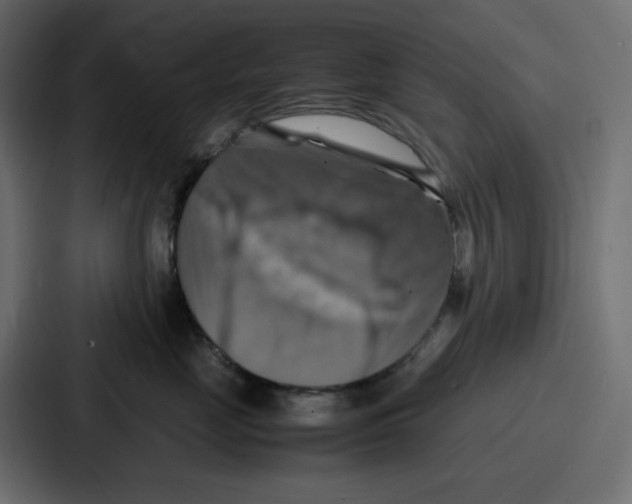 X0000086770669200705111736