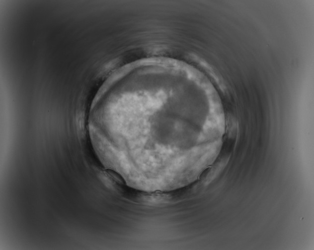 X0000086770670200705111736