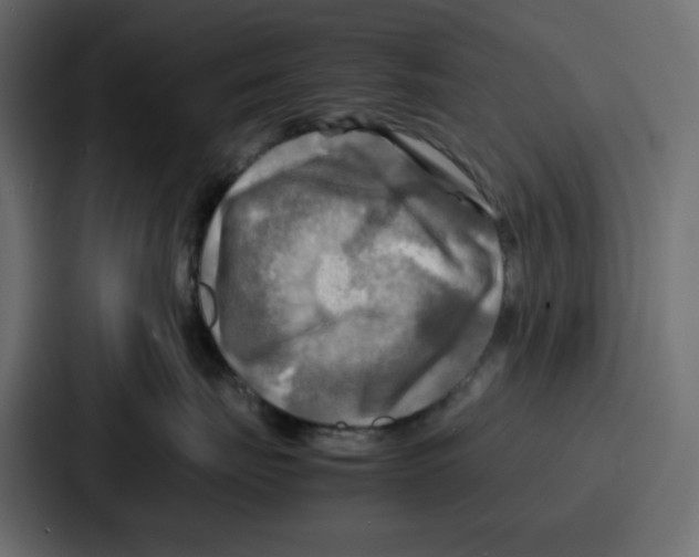 X0000086770671200705111736