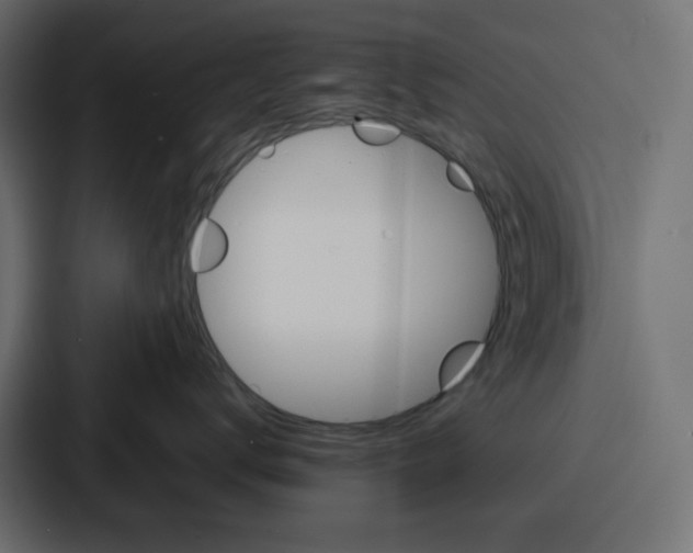 X0000086770672200705111736