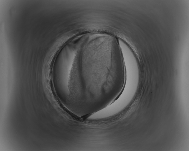 X0000086770673200705111736