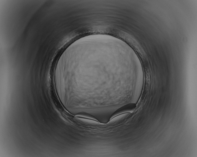 X0000086770674200705111736