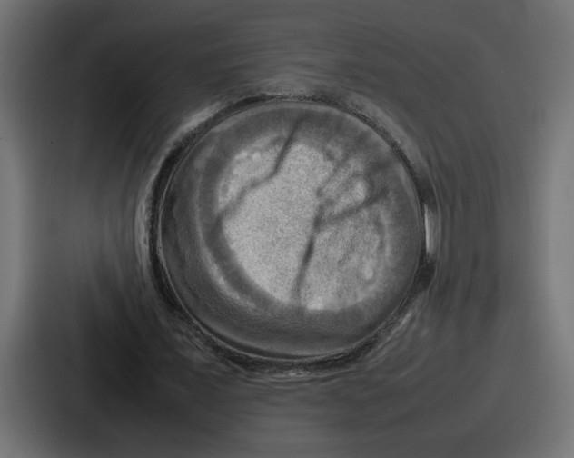 X0000086770675200705111735