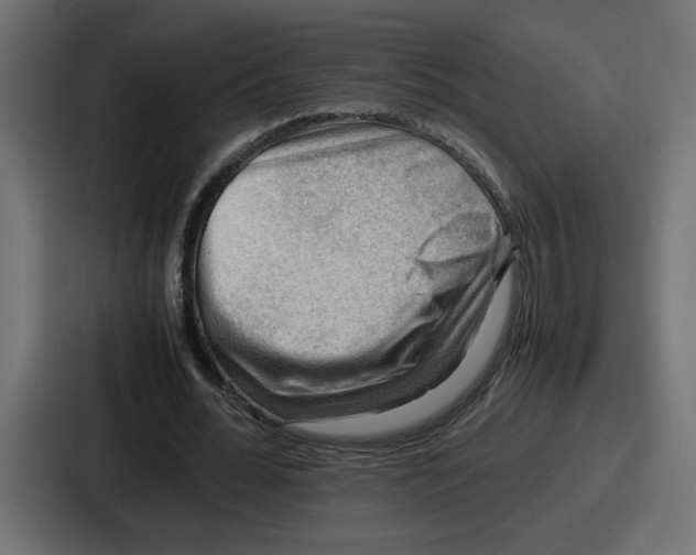 X0000086770676200705111735