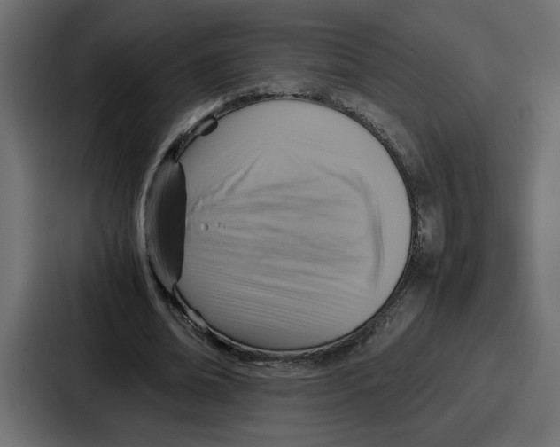 X0000086770678200705111735