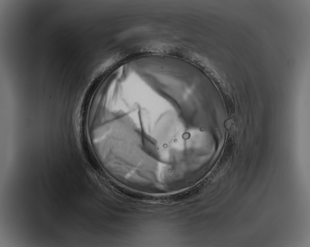X0000086770679200705111735