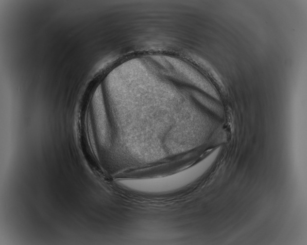 X0000086770680200705111735