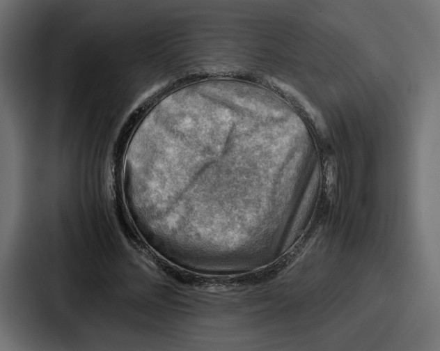 X0000086770684200705111735