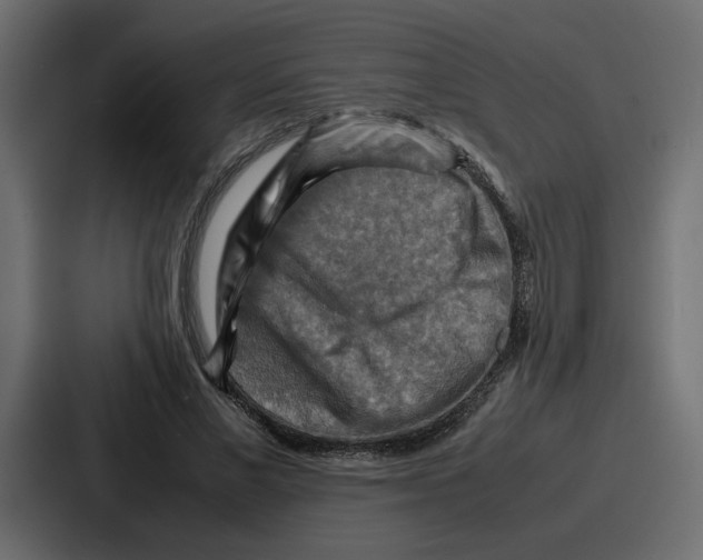 X0000086770685200705111735