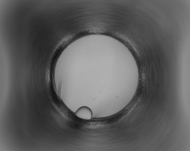 X0000086770686200705111735