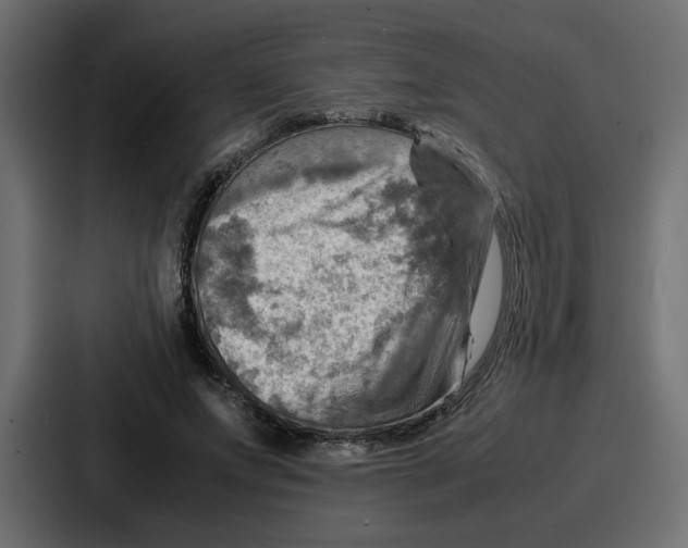 X0000086770687200705111735