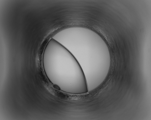 X0000086770688200705111735