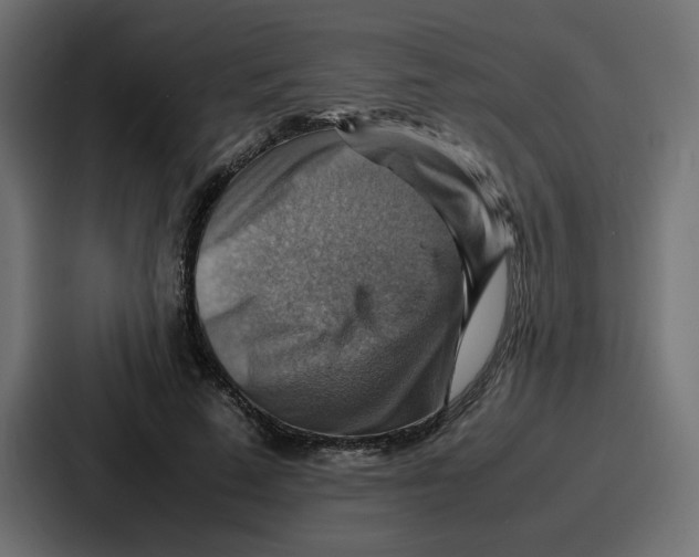 X0000086770689200705111735