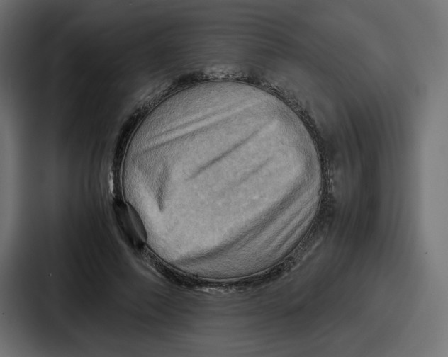 X0000086770690200705111735