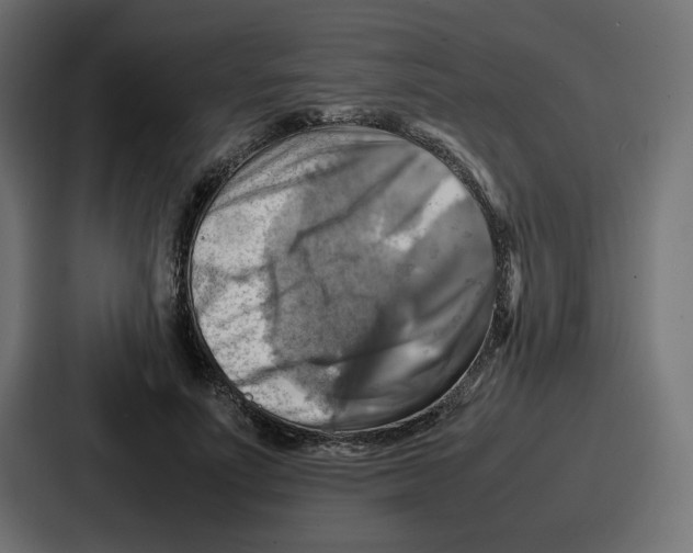 X0000086770691200705111735