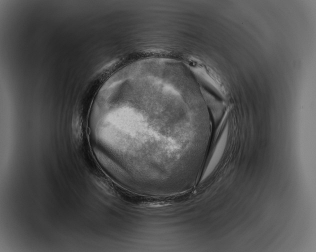 X0000086770692200705111735