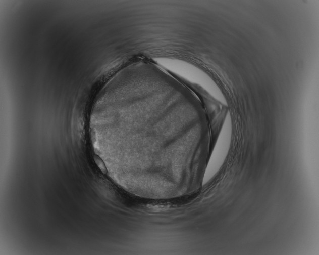 X0000086770693200705111735