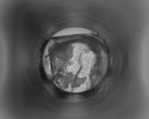 X0000086770695200705111735