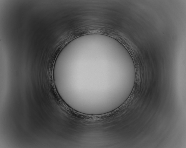 X0000086770696200705111735