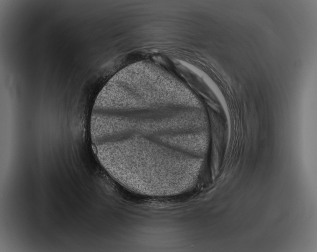 X0000086770697200705111735