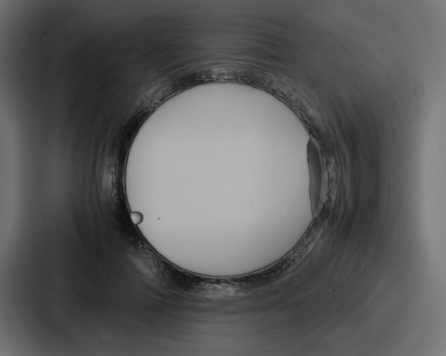 X0000086770698200705111735