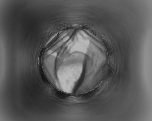 X0000086770699200705111735