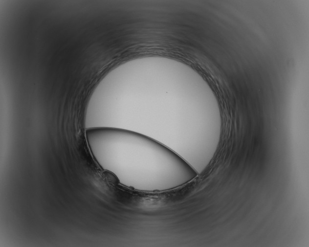 X0000086770700200705111735