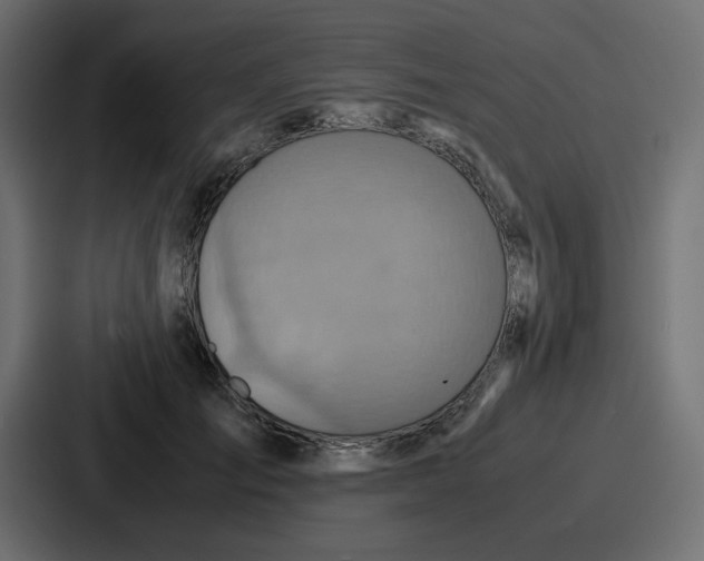 X0000086770701200705111735