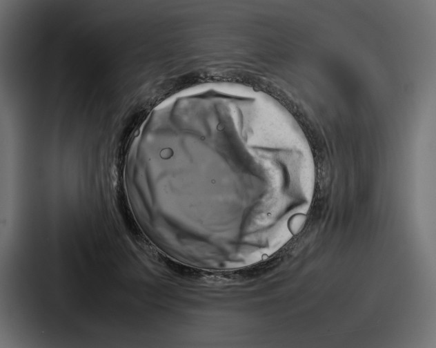 X0000086770703200705111735