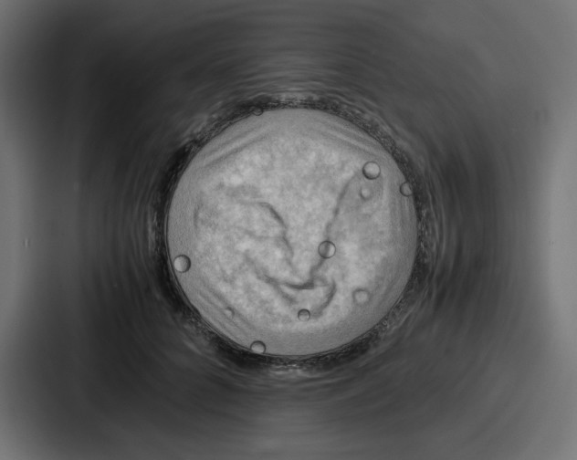 X0000086770704200705111735