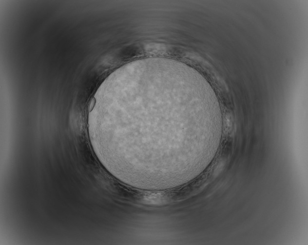 X0000086770705200705111735