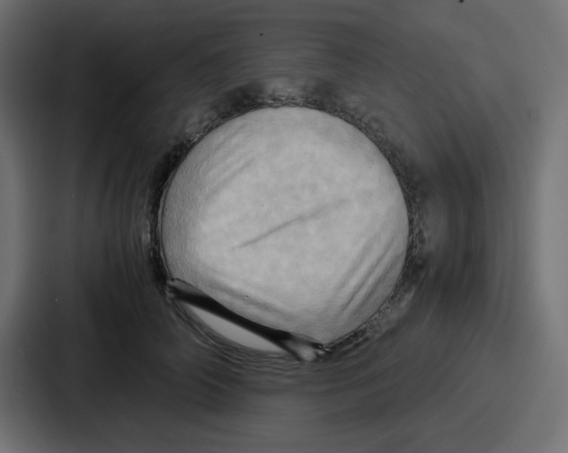 X0000086770706200705111735