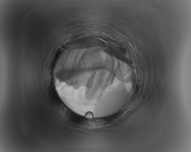 X0000086770707200705111735