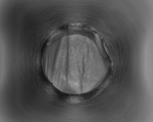 X0000086770708200705111735