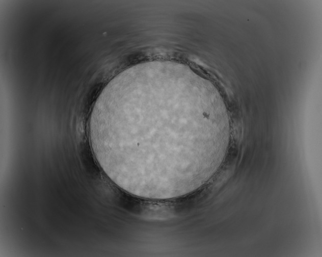 X0000086770709200705111735