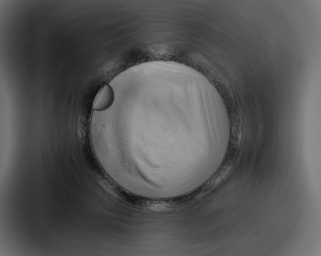 X0000086770710200705111735