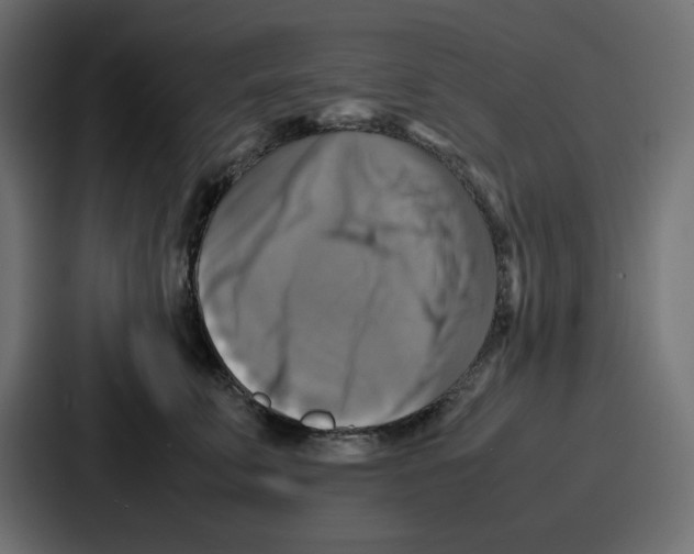 X0000086770711200705111735