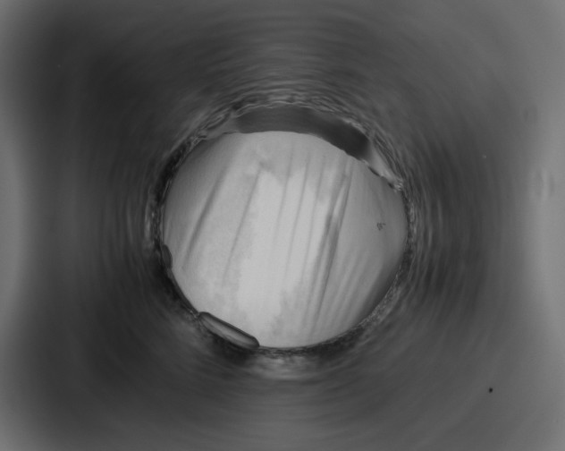 X0000086770712200705111735