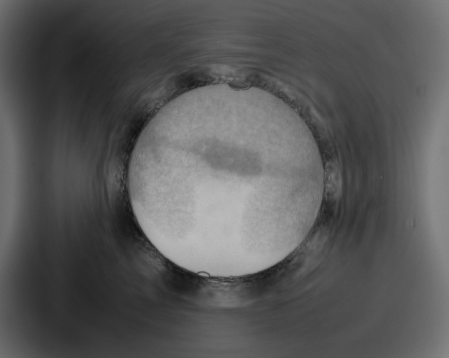 X0000086770713200705111735