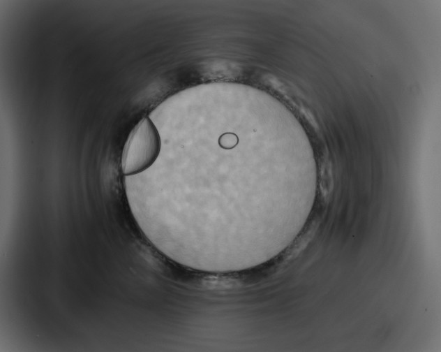 X0000086770714200705111735