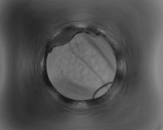 X0000086770715200705111735
